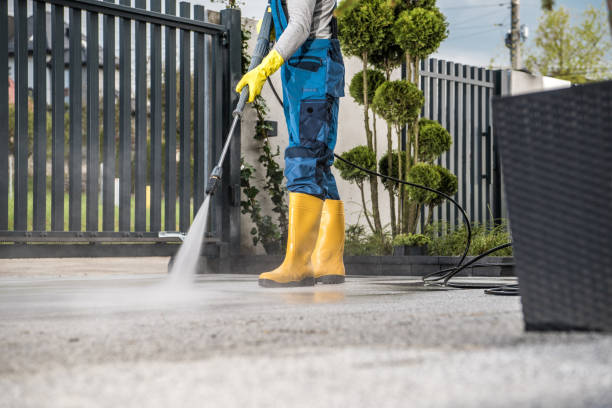 Best Affordable Power Washing  in Amherst, VA