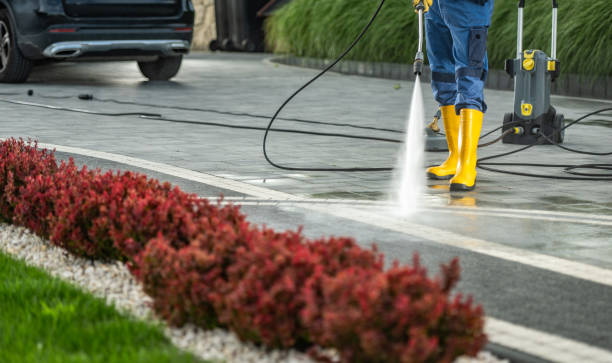 Best Local Pressure Washing Services  in Amherst, VA