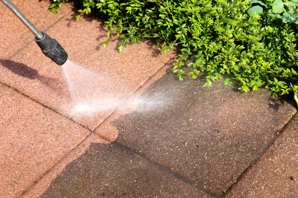 Best Roof Power Washing Services  in Amherst, VA